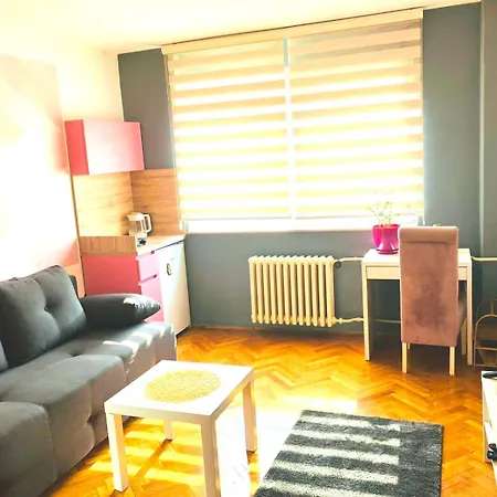 Apartament Charming Downtown