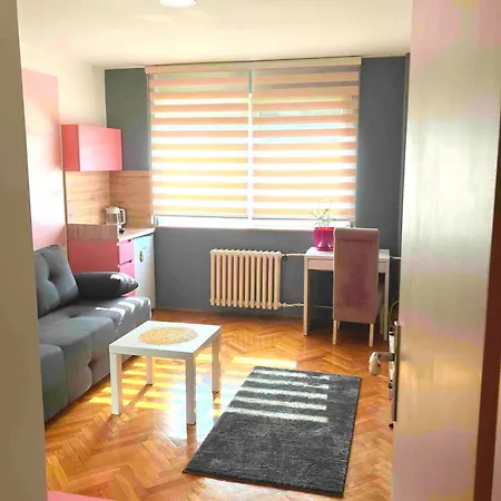 Charming Downtown Apartman *